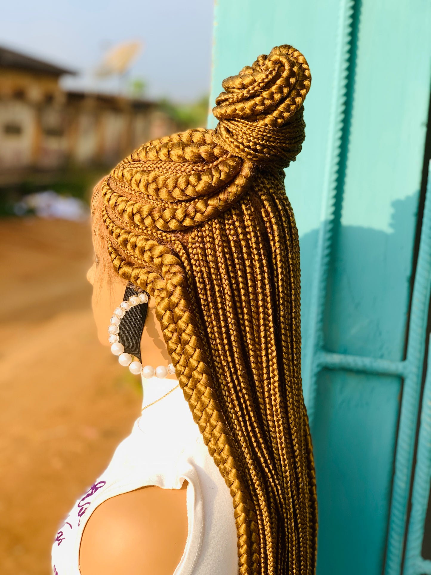 Tribal Braids, Fulani Style, Black Women Wig, Frontal, Full Lace, Lace Front,