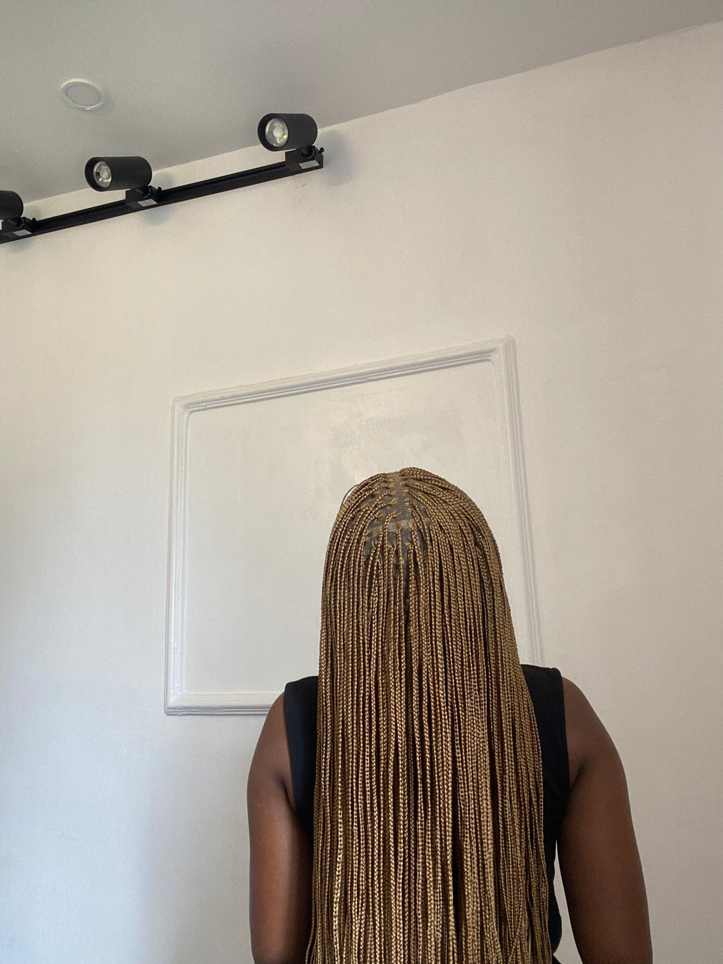 Small knotless On Full Lace Wig