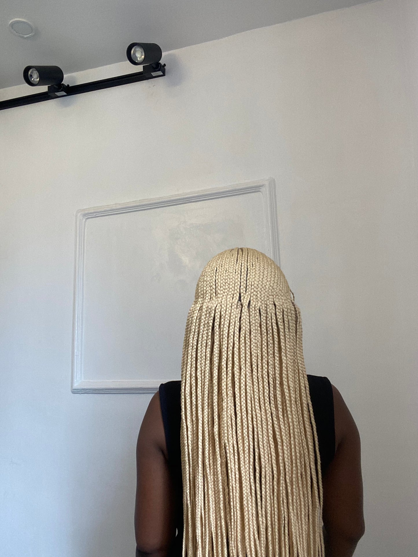 Cornrows Braids, Fulani Style, Black Women Wig, Frontal, Full Lace, Lace Front,